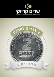 2 צדדים למטבע