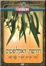 חורשת האקליפטוס