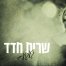 פלייבק וקליפ קריוקי של געגועים - שרית חדד