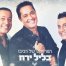 בליל ירח / הפרויקט של רביבו