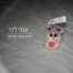 פלייבק וקליפ קריוקי של ילדות והעיר הגדולה - עברי לידר