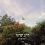 פלייבק וקליפ קריוקי של יונת שלום - חיים ישראל