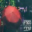 פלייבק וקליפ קריוקי של בנאדיק (קראתי לך) - נסרין קדרי