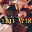 פלייבק וקליפ קריוקי של אולי נדבר - נדב גדג'