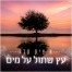 עץ שתול על מים / איציק קלה
