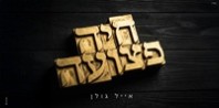 פלייבק וקליפ קריוקי של חיה פצועה - אייל גולן
