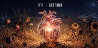 פלייבק וקליפ קריוקי של פרח - אושר כהן