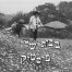 פלייבק וקליפ קריוקי של הבית של פיסטוק - אילנית