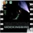 פלייבק וקליפ קריוקי של Mocking Bird - Eminem