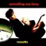 פלייבק וקליפ קריוקי של Spending My Time - Roxette