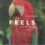 פלייבק וקליפ קריוקי של Feels - Calvin Harris Feat. Pharrell Williams