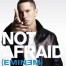 פלייבק וקליפ קריוקי של Not Afraid - Eminem