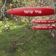 פחי שואו