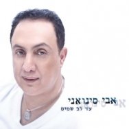 נסיכה 