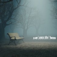 כלב בוכה