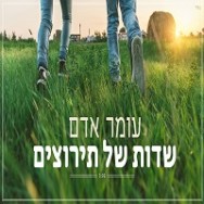 שדות של תירוצים