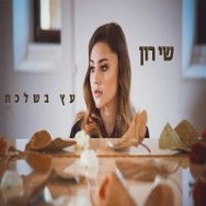 עץ בשלכת