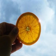 סוף עונת התפוזים